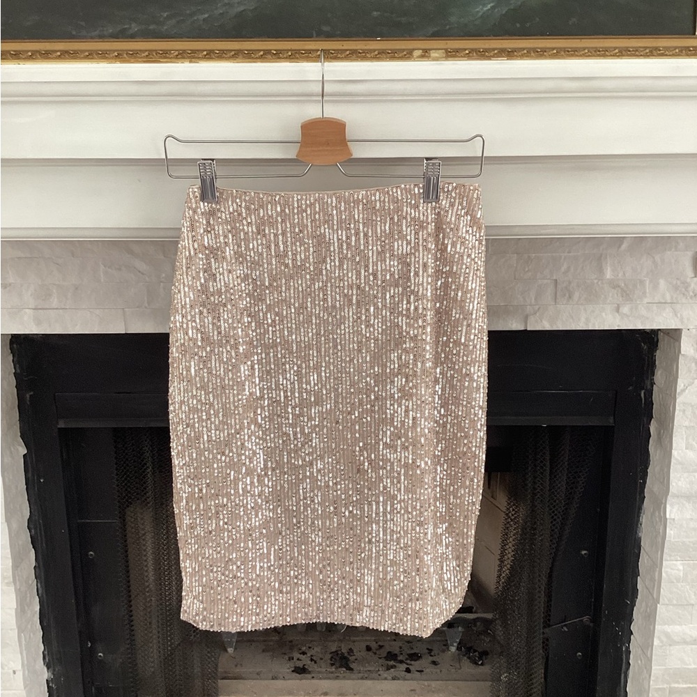 Loft Sequin Skirt